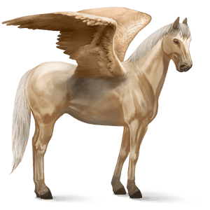 ratsupegasos quarterhevonen palomino