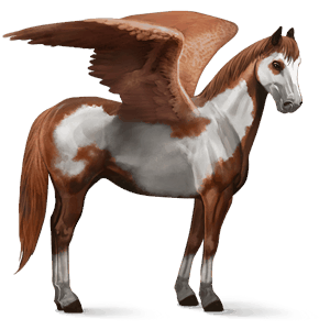 ratsupegasos paint-hevonen punaruunikko, tobiano