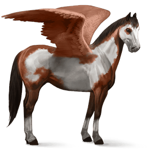 ratsupegasos paint-hevonen tummanruunikko, tobiano