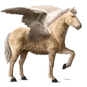 ratsupegasos american bashkir curly palomino