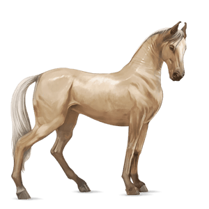 ratsuhevonen andalusianhevonen palomino