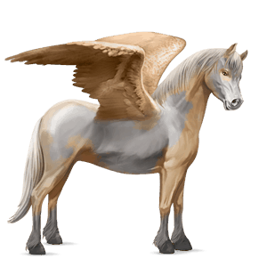 pegasosponi welshponi harmaanruskea