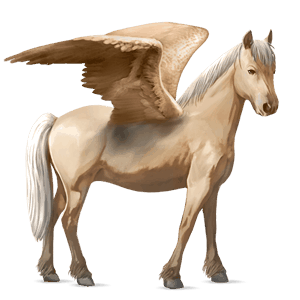 pegasosponi kerryboginponi palomino