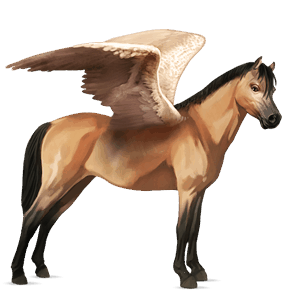 pegasosponi welshponi harmaanruskea