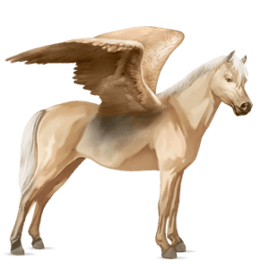 pegasosponi palomino