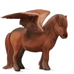 pegasosponi shetlanninponi rautias