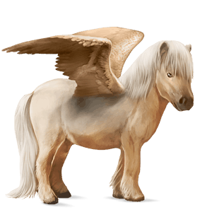 pegasosponi shetlanninponi palomino