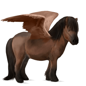 pegasosponi shetlanninponi sysirautias