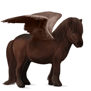 pegasosponi shetlanninponi sysirautias