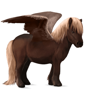 pegasosponi shetlanninponi rautias