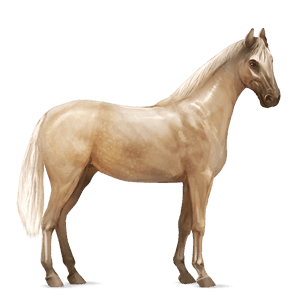 ratsuhevonen palomino