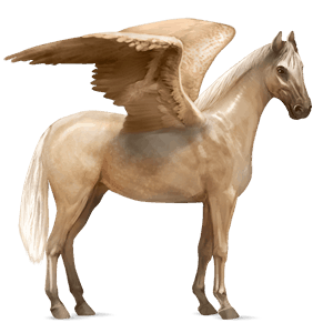 ratsupegasos palomino